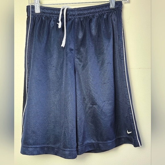 Youth Boy's Vintage Nike Metallic Blue Basketball Shorts, Size Large - Picture 1 of 4